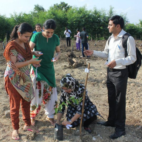 11802744_935642623161459_6573948961634604951_o