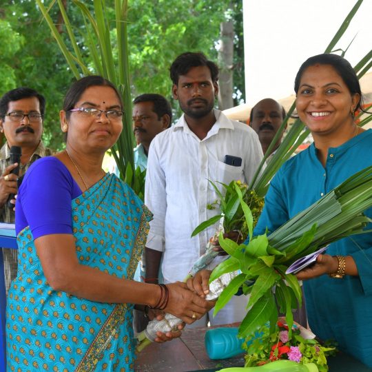 71056809_2550559181669787_1193668722632425472_o